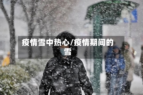 疫情雪中热心/疫情期间的雪-第2张图片