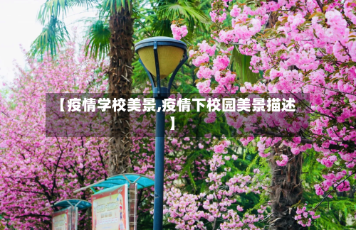 【疫情学校美景,疫情下校园美景描述】-第2张图片