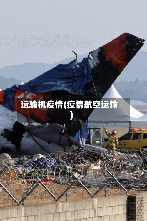 运输机疫情(疫情航空运输)