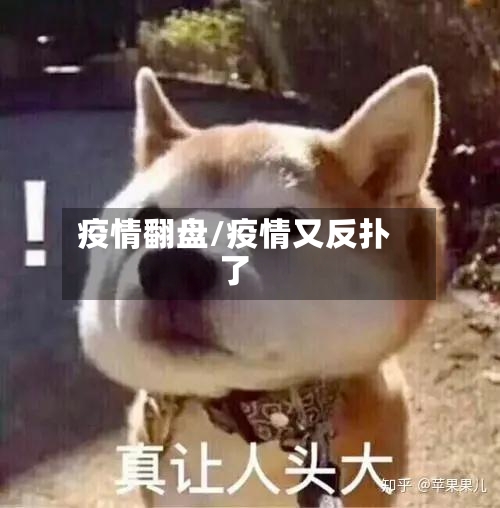 疫情翻盘/疫情又反扑了-第2张图片