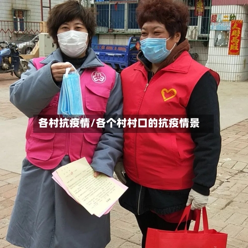 各村抗疫情/各个村村口的抗疫情景