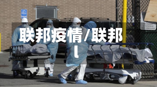 联邦疫情/联邦l