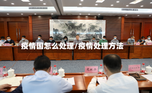 疫情国怎么处理/疫情处理方法-第2张图片