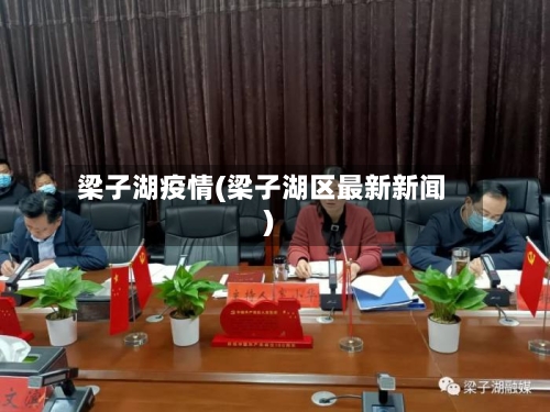 梁子湖疫情(梁子湖区最新新闻)