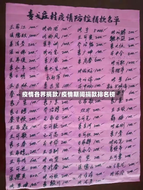 疫情各界捐款/疫情期间捐款排名榜