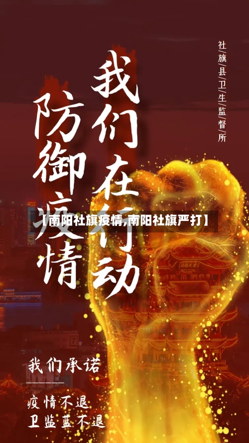 【南阳社旗疫情,南阳社旗严打】