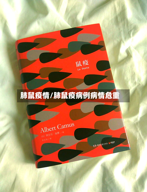 肺鼠疫情/肺鼠疫病例病情危重