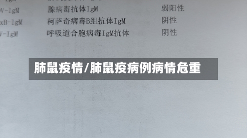 肺鼠疫情/肺鼠疫病例病情危重-第3张图片