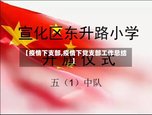 【疫情下支部,疫情下党支部工作总结】