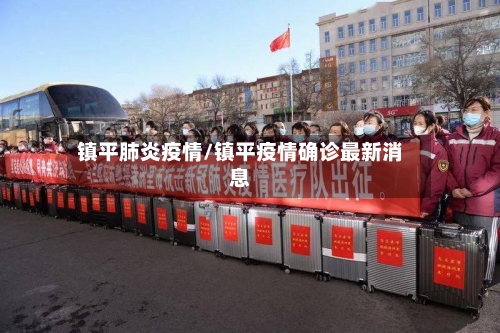镇平肺炎疫情/镇平疫情确诊最新消息-第3张图片
