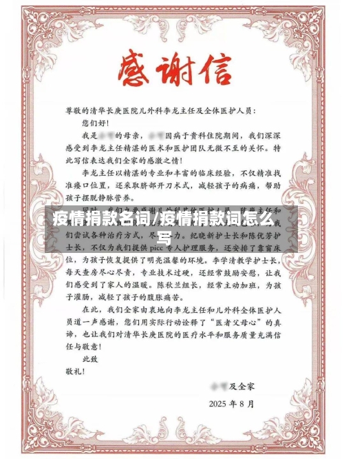 疫情捐款名词/疫情捐款词怎么写