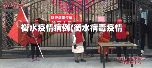 衡水疫情病例(衡水病毒疫情)-第3张图片