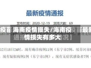 海南疫情损失/海南疫情损失有多大-第2张图片