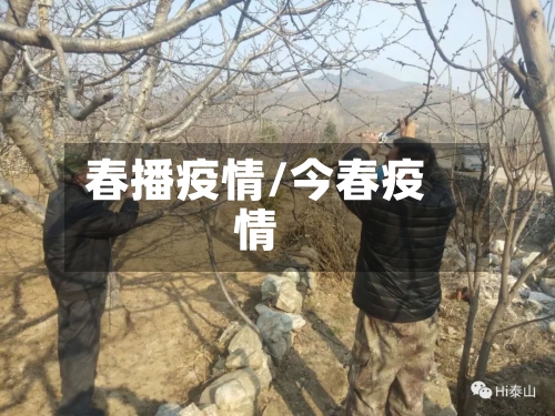 春播疫情/今春疫情