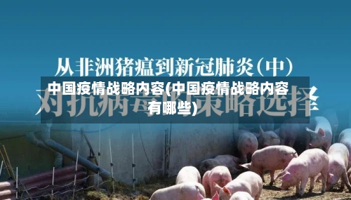 中国疫情战略内容(中国疫情战略内容有哪些)