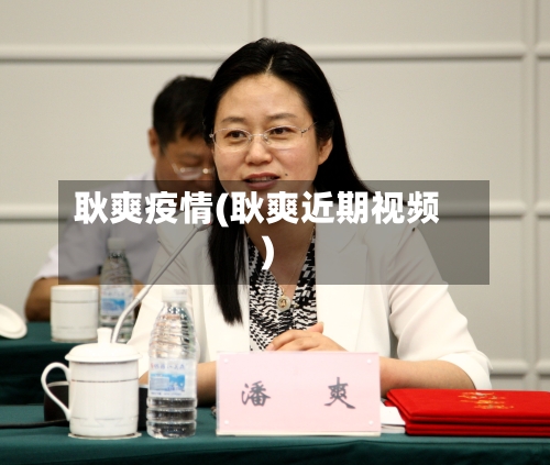 耿爽疫情(耿爽近期视频)