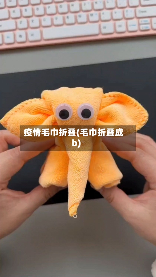 疫情毛巾折叠(毛巾折叠成b)