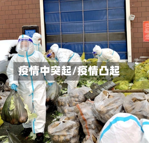 疫情中突起/疫情凸起