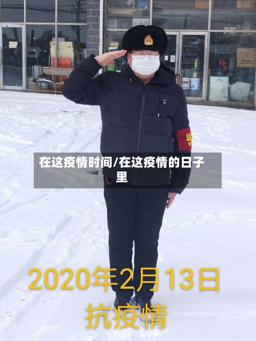 在这疫情时间/在这疫情的日子里