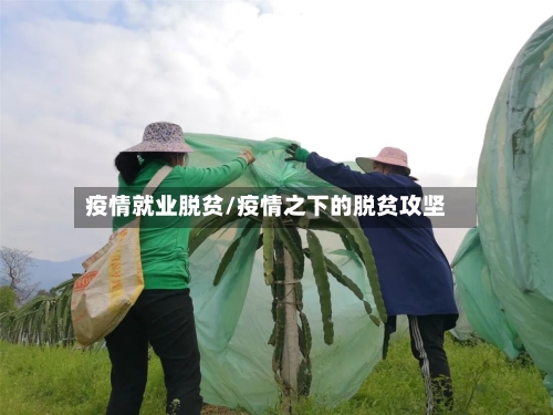 疫情就业脱贫/疫情之下的脱贫攻坚