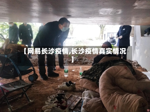 【网易长沙疫情,长沙疫情真实情况】-第2张图片