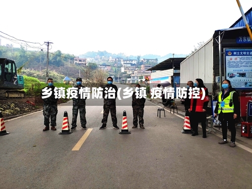 乡镇疫情防治(乡镇 疫情防控)-第2张图片