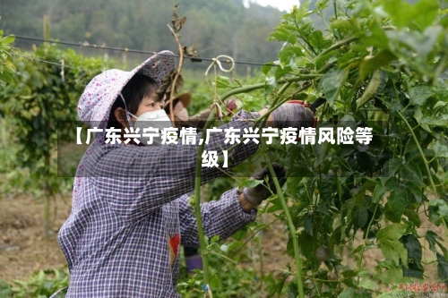 【广东兴宁疫情,广东兴宁疫情风险等级】-第3张图片