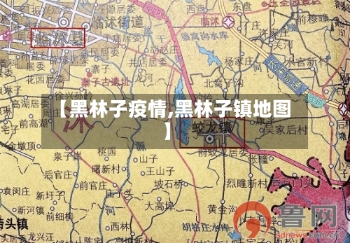 【黑林子疫情,黑林子镇地图】