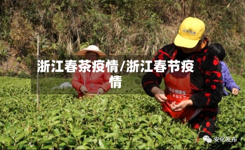 浙江春茶疫情/浙江春节疫情