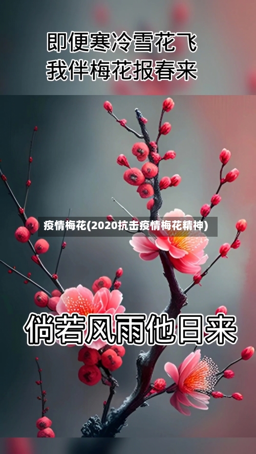 疫情梅花(2020抗击疫情梅花精神)-第2张图片