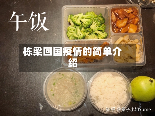 栋梁回国疫情的简单介绍-第2张图片