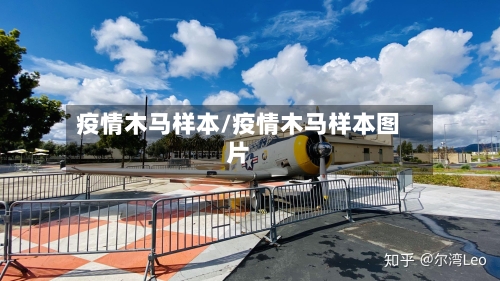 疫情木马样本/疫情木马样本图片-第2张图片