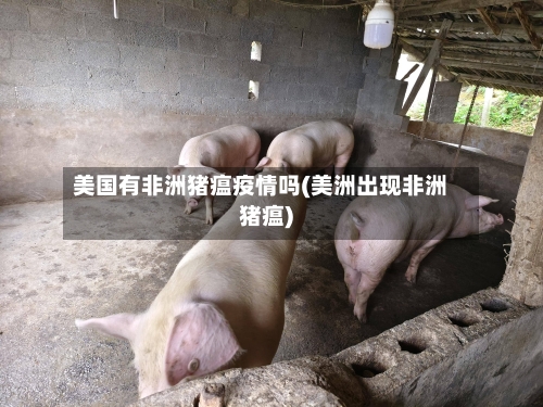 美国有非洲猪瘟疫情吗(美洲出现非洲猪瘟)-第2张图片