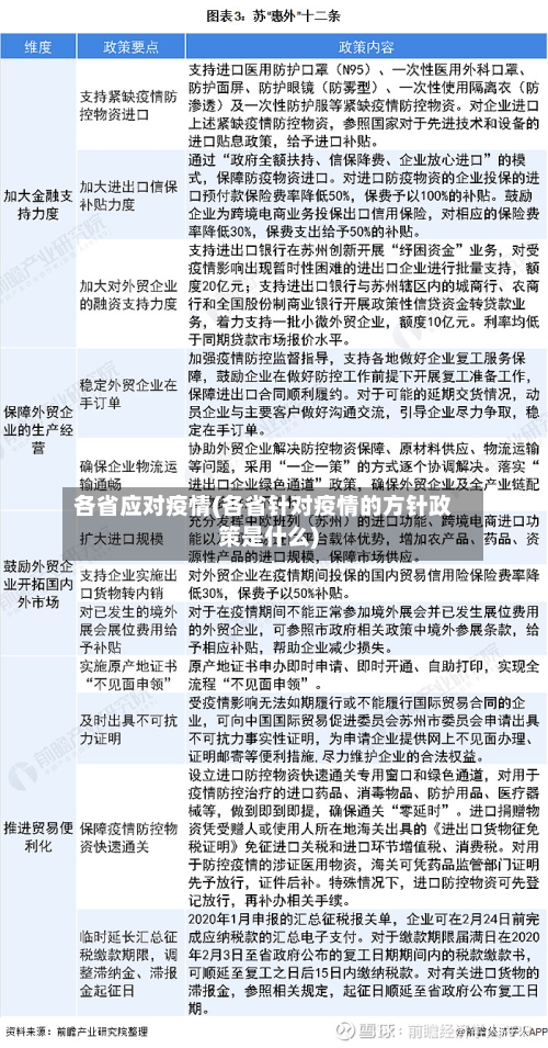 各省应对疫情(各省针对疫情的方针政策是什么)-第2张图片