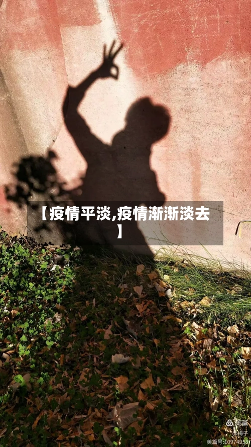 【疫情平淡,疫情渐渐淡去】-第3张图片
