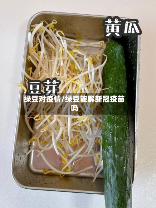 绿豆对疫情/绿豆能解新冠疫苗吗