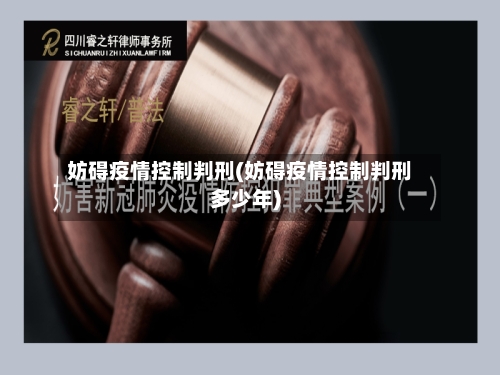 妨碍疫情控制判刑(妨碍疫情控制判刑多少年)