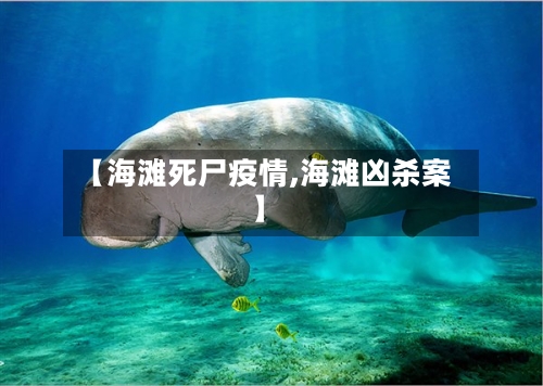 【海滩死尸疫情,海滩凶杀案】