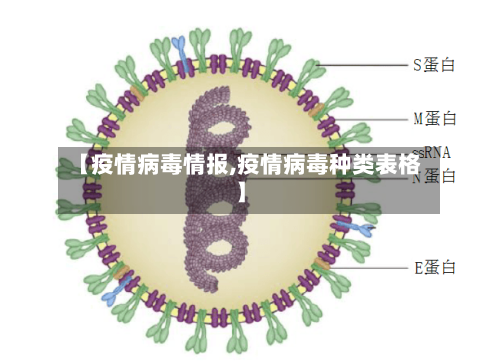 【疫情病毒情报,疫情病毒种类表格】-第2张图片