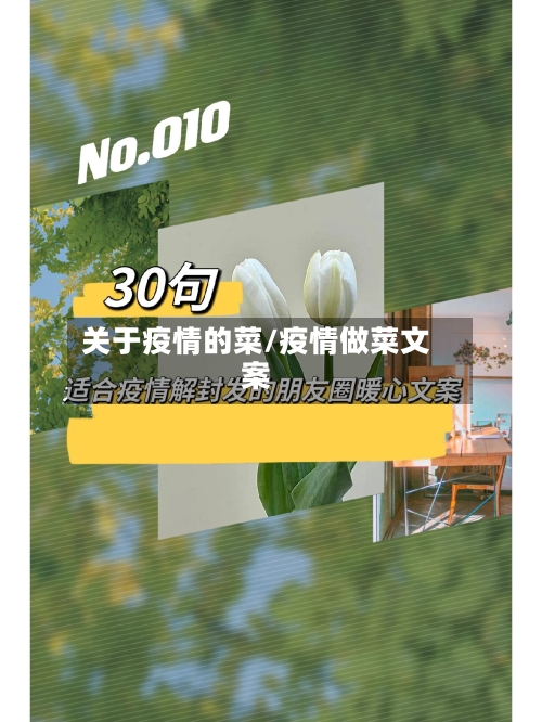 关于疫情的菜/疫情做菜文案
