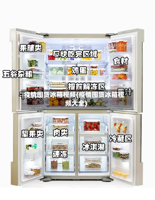 疫情囤货冰箱视频(疫情囤货冰箱视频大全)