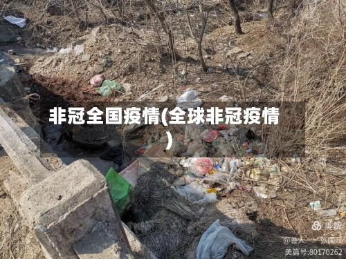 非冠全国疫情(全球非冠疫情)