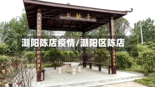 潮阳陈店疫情/潮阳区陈店
