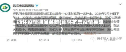 缅怀疫情期间英雄(缅怀抗击疫情英雄)-第2张图片