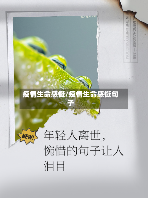 疫情生命感慨/疫情生命感慨句子