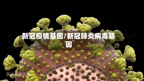 新冠疫情基因/新冠肺炎病毒基因