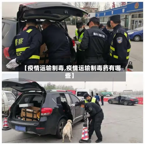 【疫情运输制毒,疫情运输制毒药有哪些】
