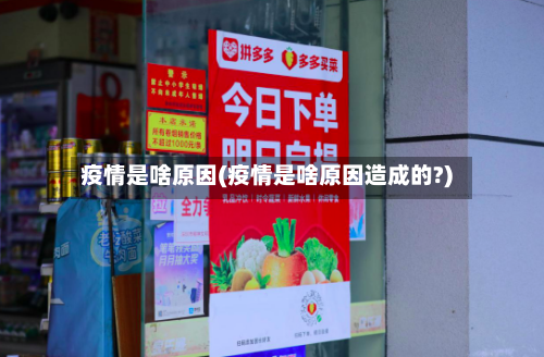 疫情是啥原因(疫情是啥原因造成的?)-第2张图片