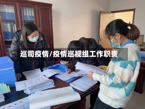 巡司疫情/疫情巡视组工作职责-第2张图片