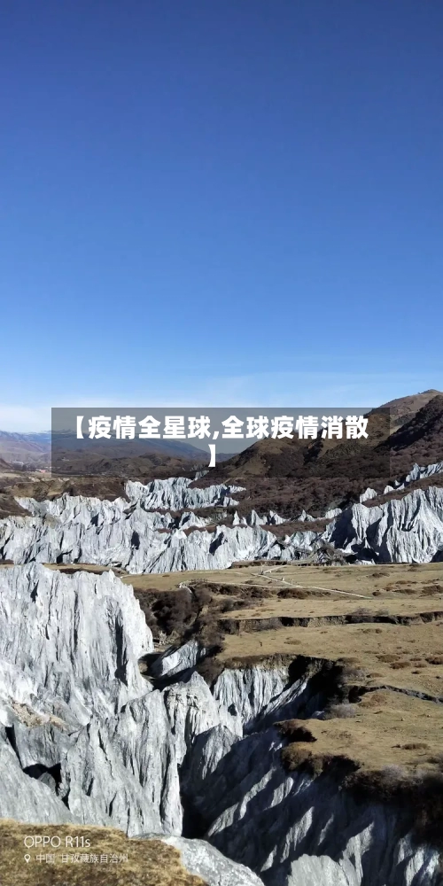 【疫情全星球,全球疫情消散】